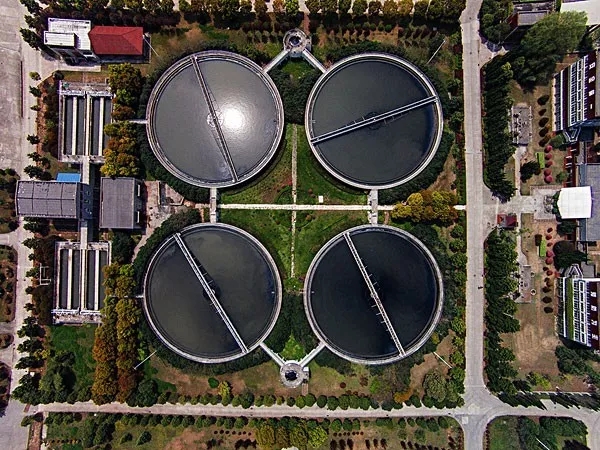 1539239968109032.jpg 3.webp.jpg